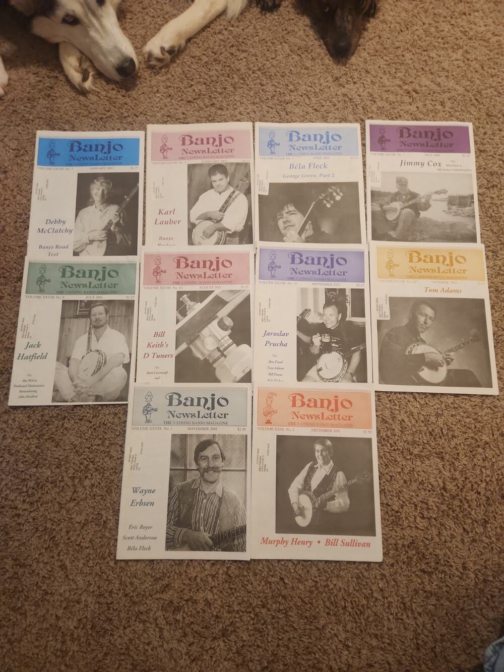 Lot of 10 Banjo Newsletter Magazines Vintage Banjo Publications 2001